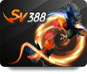 M88 Bet Online: Top Strategies for a Winning Experience